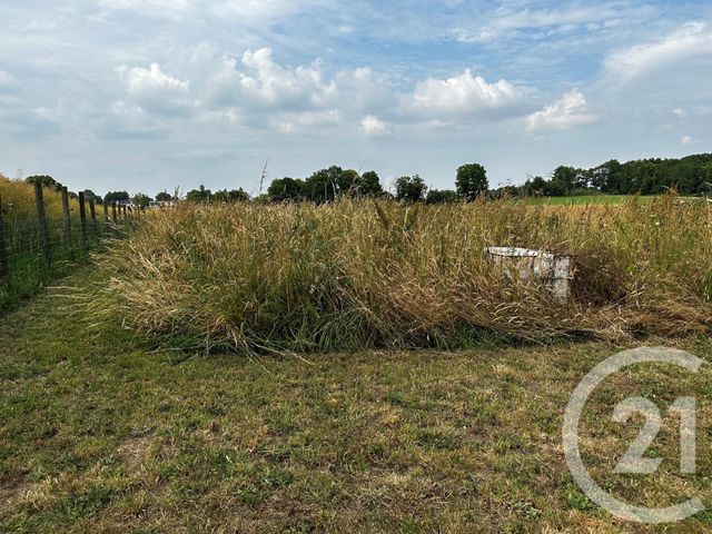 terrain - ST VINCENT SUR OUST - 56